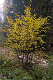 Allwettertour-07_0986